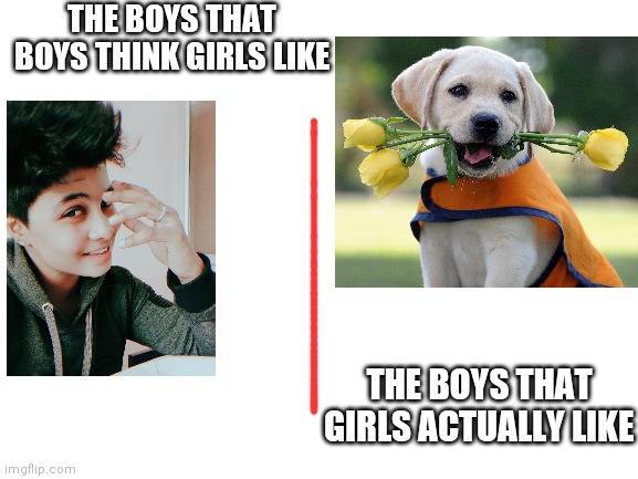 What girls want | THE BOYS THAT BOYS THINK GIRLS LIKE; THE BOYS THAT GIRLS ACTUALLY LIKE | image tagged in dogs,cute dog | made w/ Imgflip meme maker