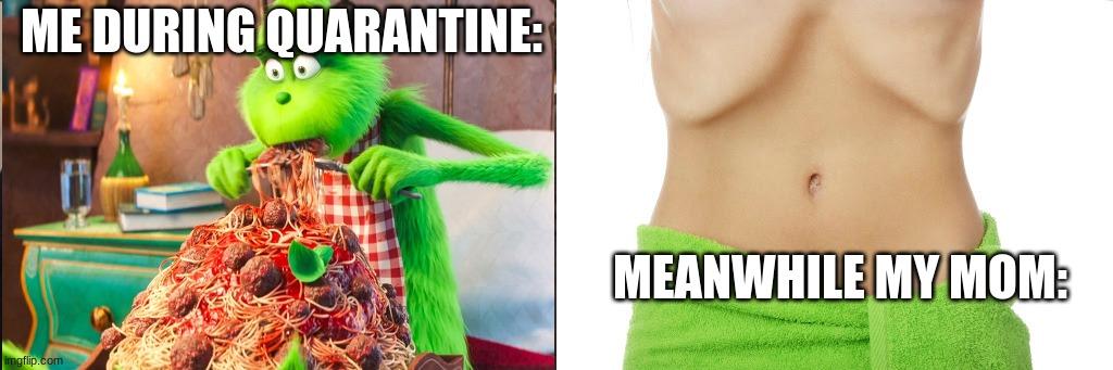 ME DURING QUARANTINE:; MEANWHILE MY MOM: | image tagged in memes | made w/ Imgflip meme maker