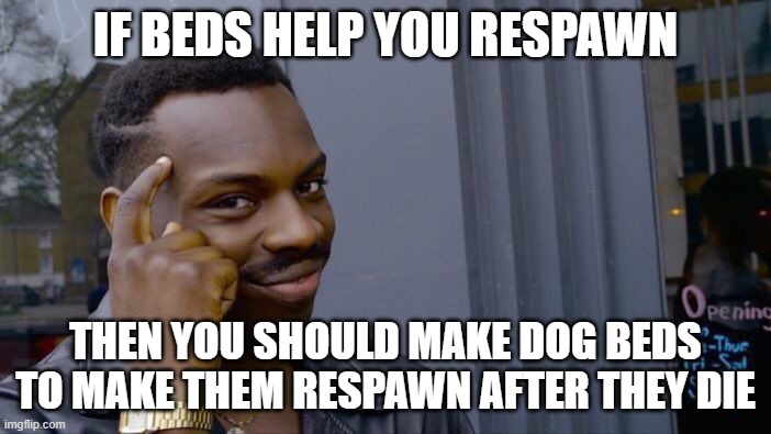 Roll Safe Think About It Meme | IF BEDS HELP YOU RESPAWN; THEN YOU SHOULD MAKE DOG BEDS TO MAKE THEM RESPAWN AFTER THEY DIE | image tagged in memes,roll safe think about it,minecraft | made w/ Imgflip meme maker