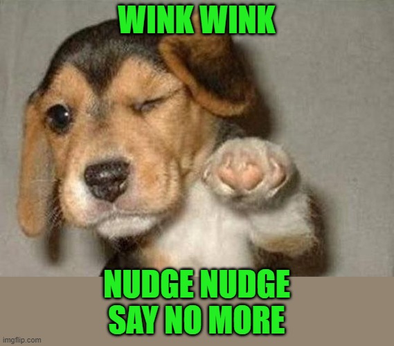 Winking Dog | WINK WINK NUDGE NUDGE
SAY NO MORE | image tagged in winking dog | made w/ Imgflip meme maker
