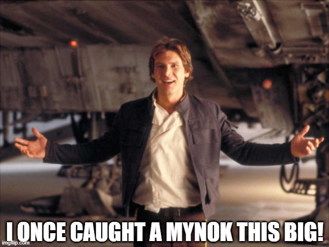 Gone Space Fishin' | I ONCE CAUGHT A MYNOK THIS BIG! | image tagged in han solo new star wars movie | made w/ Imgflip meme maker