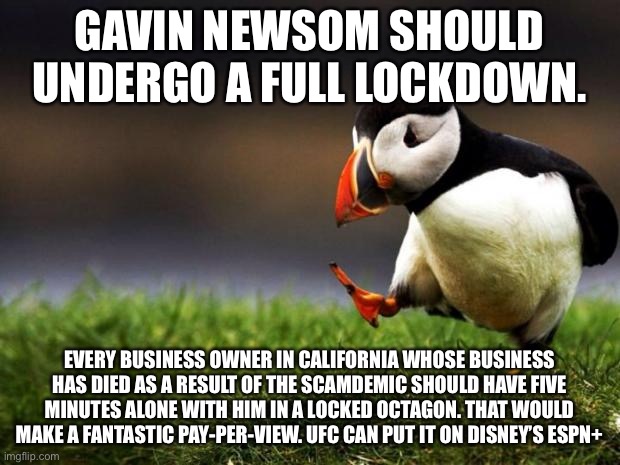 Or maybe a Newsom recall will suffice | GAVIN NEWSOM SHOULD UNDERGO A FULL LOCKDOWN. EVERY BUSINESS OWNER IN CALIFORNIA WHOSE BUSINESS HAS DIED AS A RESULT OF THE SCAMDEMIC SHOULD HAVE FIVE MINUTES ALONE WITH HIM IN A LOCKED OCTAGON. THAT WOULD MAKE A FANTASTIC PAY-PER-VIEW. UFC CAN PUT IT ON DISNEY’S ESPN+ | image tagged in memes,unpopular opinion puffin,gavin newsom,fight,disney,socialism | made w/ Imgflip meme maker
