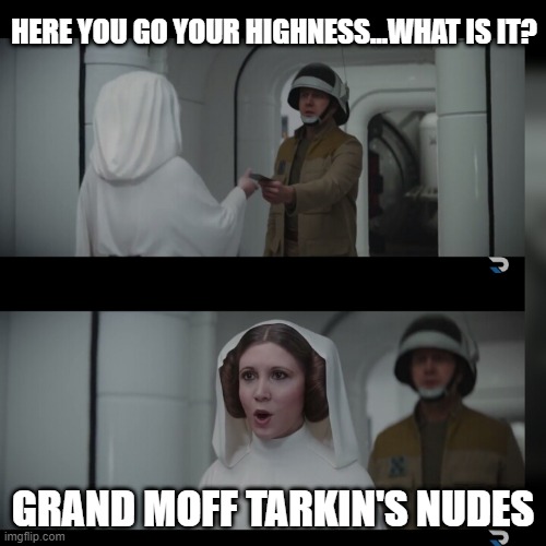 Blackmail | HERE YOU GO YOUR HIGHNESS...WHAT IS IT? GRAND MOFF TARKIN'S NUDES | image tagged in star wars rogue one hope | made w/ Imgflip meme maker