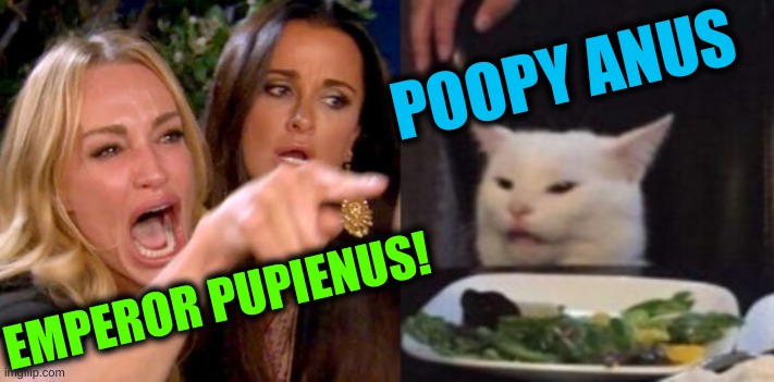 woman yelling at cat cropped | POOPY ANUS; EMPEROR PUPIENUS! | image tagged in woman yelling at cat cropped,emperor pupienus,poopy pants,poopy anus,puns,word play | made w/ Imgflip meme maker