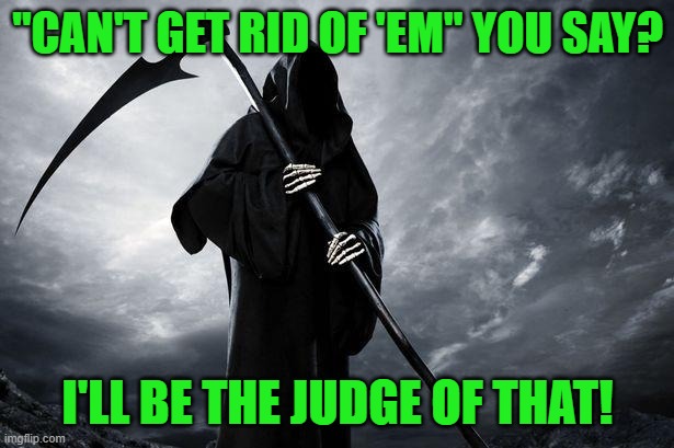 Death | "CAN'T GET RID OF 'EM" YOU SAY? I'LL BE THE JUDGE OF THAT! | image tagged in death | made w/ Imgflip meme maker