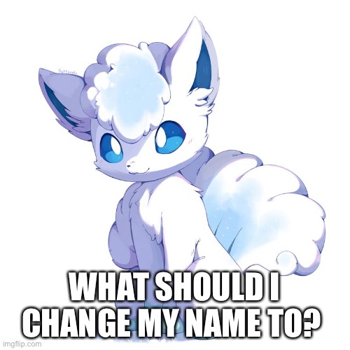 WHAT SHOULD I CHANGE MY NAME TO? | made w/ Imgflip meme maker