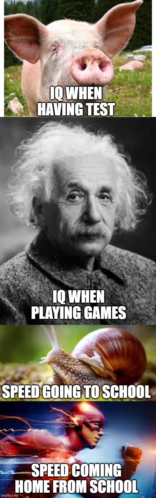 IQ WHEN HAVING TEST; IQ WHEN PLAYING GAMES; SPEED GOING TO SCHOOL; SPEED COMING HOME FROM SCHOOL | image tagged in blank white template | made w/ Imgflip meme maker