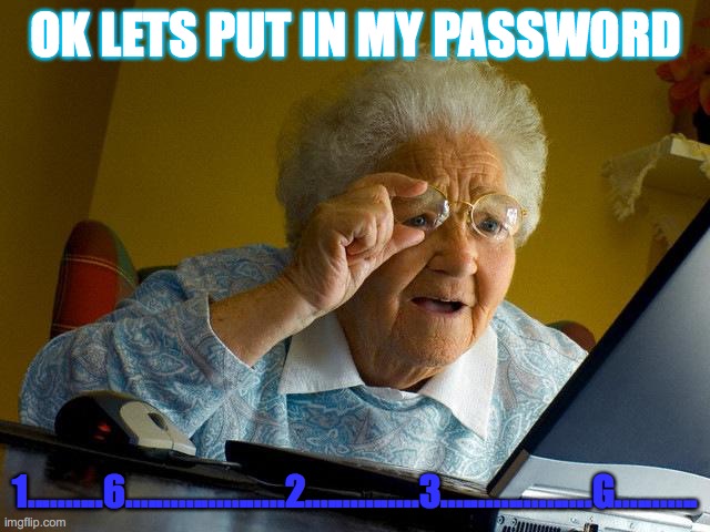 Grandma Finds The Internet | OK LETS PUT IN MY PASSWORD; 1..........6.....................2...............3....................G........... | image tagged in memes,grandma finds the internet | made w/ Imgflip meme maker