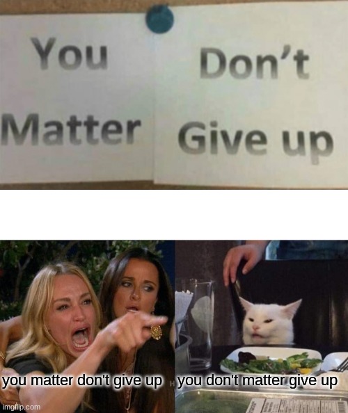 you matter don't give up; you don't matter give up | image tagged in memes,woman yelling at cat | made w/ Imgflip meme maker