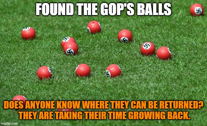 GOP's Balls | FOUND THE GOP'S BALLS; DOES ANYONE KNOW WHERE THEY CAN BE RETURNED?
 THEY ARE TAKING THEIR TIME GROWING BACK. | image tagged in weak,loser,donald trump,gop,balls | made w/ Imgflip meme maker