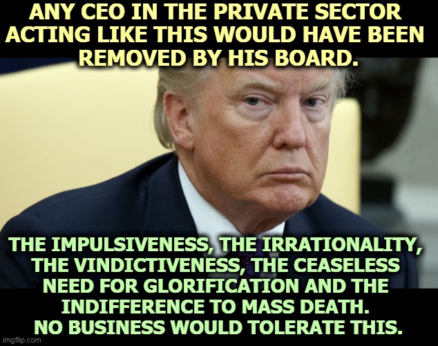 No private sector corporation of any size would let this happen. | ANY CEO IN THE PRIVATE SECTOR 
ACTING LIKE THIS WOULD HAVE BEEN 
REMOVED BY HIS BOARD. THE IMPULSIVENESS, THE IRRATIONALITY, 
THE VINDICTIVENESS, THE CEASELESS 
NEED FOR GLORIFICATION AND THE 
INDIFFERENCE TO MASS DEATH. 
NO BUSINESS WOULD TOLERATE THIS. | image tagged in trump,emotional,crazy,incompetence,murderer | made w/ Imgflip meme maker