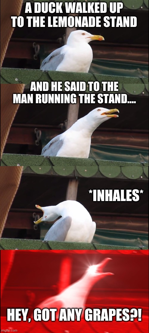 more duck song memes | A DUCK WALKED UP TO THE LEMONADE STAND; AND HE SAID TO THE MAN RUNNING THE STAND.... *INHALES*; HEY, GOT ANY GRAPES?! | image tagged in memes,inhaling seagull | made w/ Imgflip meme maker