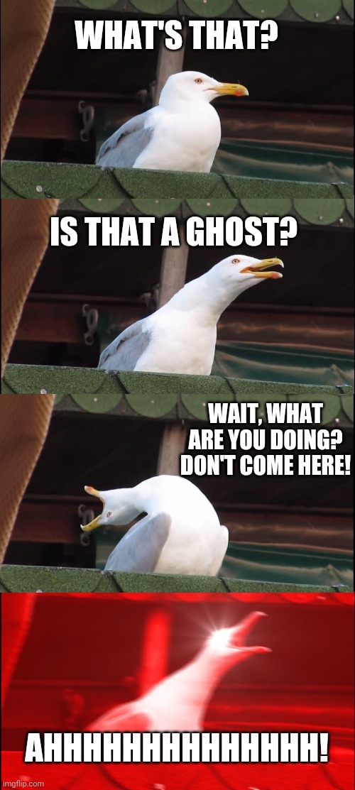 Inhaling Seagull Meme | WHAT'S THAT? IS THAT A GHOST? WAIT, WHAT ARE YOU DOING? DON'T COME HERE! AHHHHHHHHHHHHHH! | image tagged in memes,inhaling seagull | made w/ Imgflip meme maker