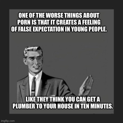 False expectations | ONE OF THE WORSE THINGS ABOUT PORN IS THAT IT CREATES A FEELING OF FALSE EXPECTATION IN YOUNG PEOPLE. LIKE THEY THINK YOU CAN GET A PLUMBER TO YOUR HOUSE IN TEN MINUTES. | image tagged in funny memes | made w/ Imgflip meme maker