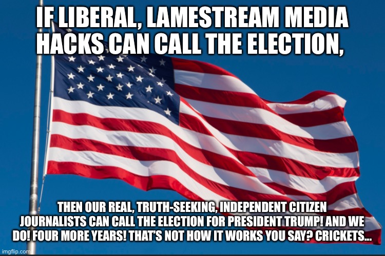 The media is the virus | IF LIBERAL, LAMESTREAM MEDIA HACKS CAN CALL THE ELECTION, THEN OUR REAL, TRUTH-SEEKING, INDEPENDENT CITIZEN JOURNALISTS CAN CALL THE ELECTION FOR PRESIDENT TRUMP! AND WE DO! FOUR MORE YEARS! THAT’S NOT HOW IT WORKS YOU SAY? CRICKETS... | image tagged in long may you wave | made w/ Imgflip meme maker