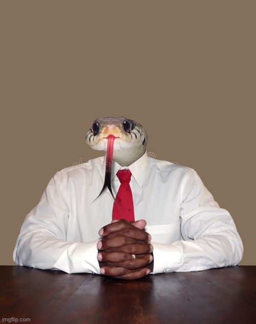 Business snake | image tagged in business snake | made w/ Imgflip meme maker