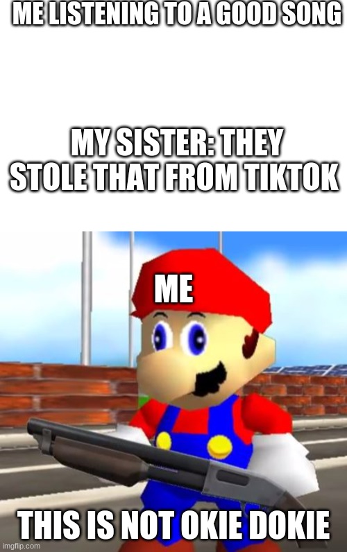 lol | ME LISTENING TO A GOOD SONG; MY SISTER: THEY STOLE THAT FROM TIKTOK; ME; THIS IS NOT OKIE DOKIE | image tagged in smg4 shotgun mario | made w/ Imgflip meme maker