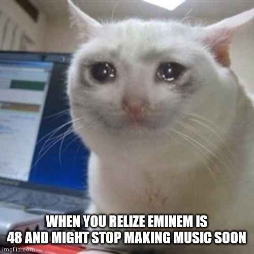 Crying cat | WHEN YOU RELIZE EMINEM IS 48 AND MIGHT STOP MAKING MUSIC SOON | image tagged in crying cat | made w/ Imgflip meme maker