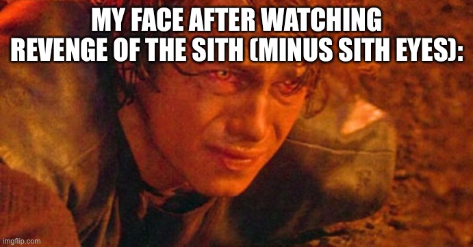 Sobbing. I need to stop watching this movie as good as it is (makes me cry so damn hard) | MY FACE AFTER WATCHING REVENGE OF THE SITH (MINUS SITH EYES): | image tagged in injured anakin skywalker | made w/ Imgflip meme maker