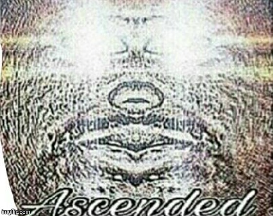 Real Shit Ascended | image tagged in real shit ascended | made w/ Imgflip meme maker