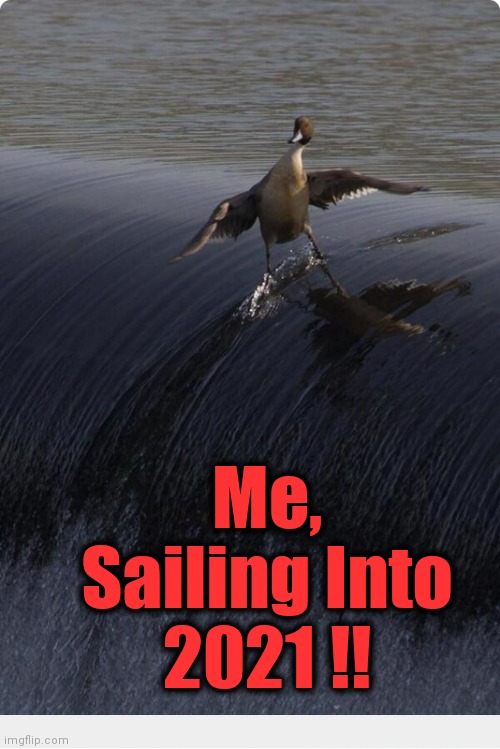 It's Gotta Be Better Than 2020 !! | Me, Sailing Into 2021 !! | image tagged in fun,funny picture,happy | made w/ Imgflip meme maker