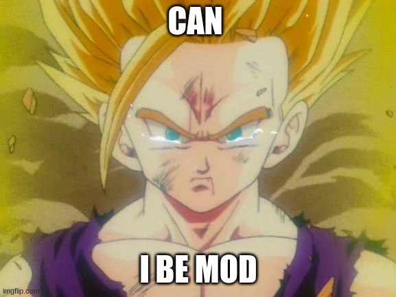 sad Gohan ssj2 | CAN; I BE MOD | image tagged in sad gohan ssj2 | made w/ Imgflip meme maker