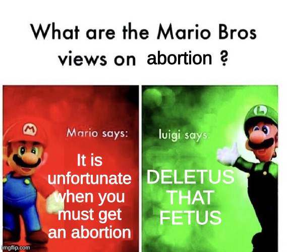 deletus | abortion; It is unfortunate when you must get an abortion; DELETUS THAT FETUS | image tagged in mario bros views,abortion,dark humor | made w/ Imgflip meme maker