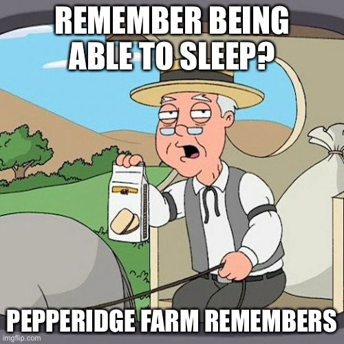 Pepperidge Farm Remembers | REMEMBER BEING ABLE TO SLEEP? PEPPERIDGE FARM REMEMBERS | image tagged in memes,pepperidge farm remembers | made w/ Imgflip meme maker