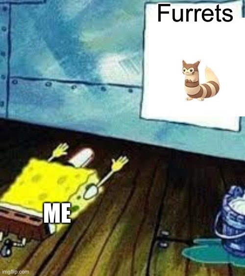 spongebob worship | Furrets; ME | image tagged in spongebob worship | made w/ Imgflip meme maker