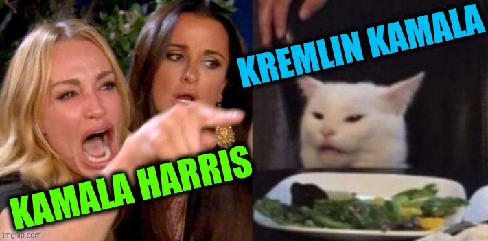 woman yelling at cat cropped | KREMLIN KAMALA; KAMALA HARRIS | image tagged in woman yelling at cat cropped,kremlin kamala,kamala harris,joseph stalin,election 2020 | made w/ Imgflip meme maker