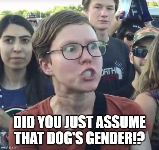 Triggered feminist | DID YOU JUST ASSUME THAT DOG'S GENDER!? | image tagged in triggered feminist | made w/ Imgflip meme maker