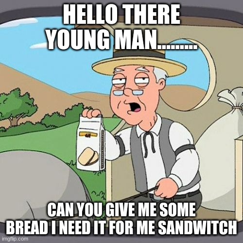 Pepperidge Farm Remembers Meme | HELLO THERE YOUNG MAN......... CAN YOU GIVE ME SOME BREAD I NEED IT FOR ME SANDWITCH | image tagged in memes,pepperidge farm remembers | made w/ Imgflip meme maker