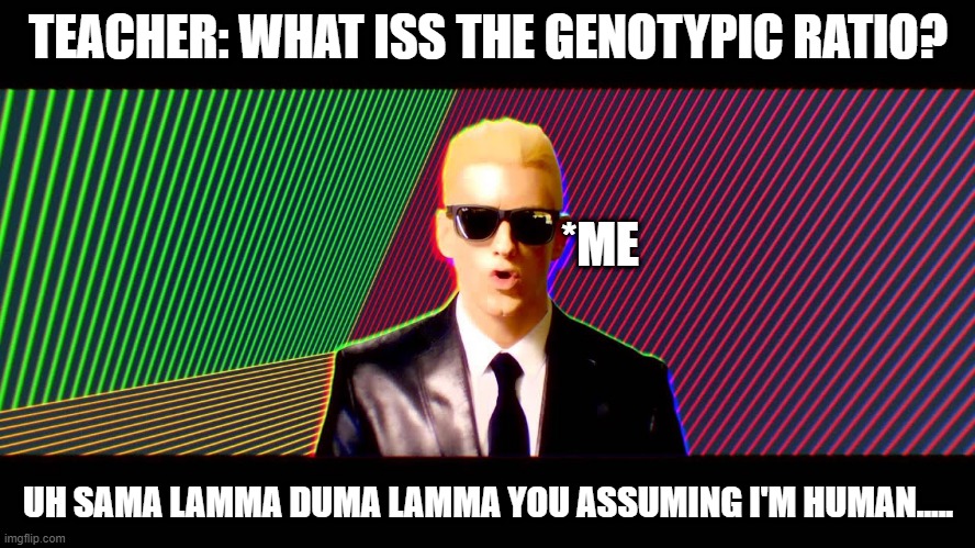 genotypic ratio LMAO | TEACHER: WHAT ISS THE GENOTYPIC RATIO? *ME; UH SAMA LAMMA DUMA LAMMA YOU ASSUMING I'M HUMAN..... | image tagged in rap god - something's wrong | made w/ Imgflip meme maker
