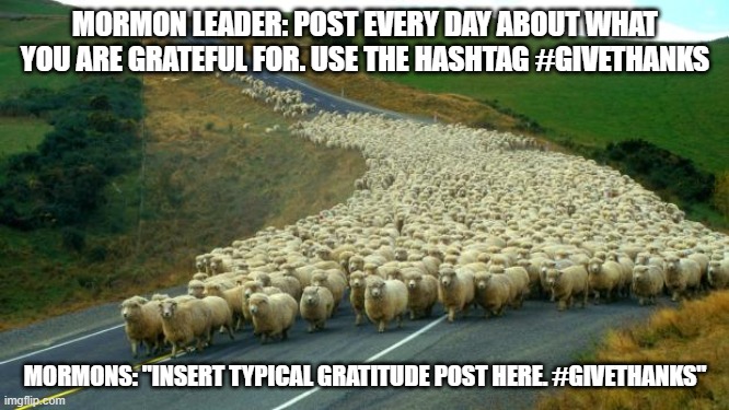 sheep | MORMON LEADER: POST EVERY DAY ABOUT WHAT YOU ARE GRATEFUL FOR. USE THE HASHTAG #GIVETHANKS; MORMONS: "INSERT TYPICAL GRATITUDE POST HERE. #GIVETHANKS" | image tagged in sheep | made w/ Imgflip meme maker