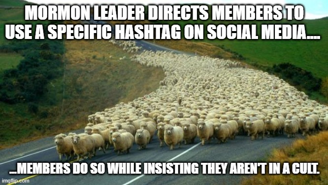 mormons on social media this week | MORMON LEADER DIRECTS MEMBERS TO USE A SPECIFIC HASHTAG ON SOCIAL MEDIA.... ...MEMBERS DO SO WHILE INSISTING THEY AREN'T IN A CULT. | image tagged in sheep | made w/ Imgflip meme maker