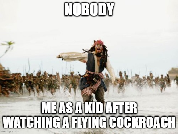 Jack Sparrow Being Chased | NOBODY; ME AS A KID AFTER WATCHING A FLYING COCKROACH | image tagged in memes,jack sparrow being chased | made w/ Imgflip meme maker