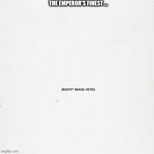 The Emperor's Finest... | image tagged in the emperor's finest | made w/ Imgflip meme maker