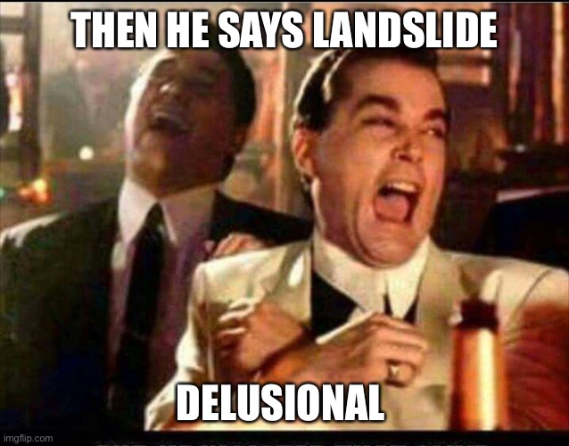 Lol good fellas  | THEN HE SAYS LANDSLIDE DELUSIONAL | image tagged in lol good fellas | made w/ Imgflip meme maker