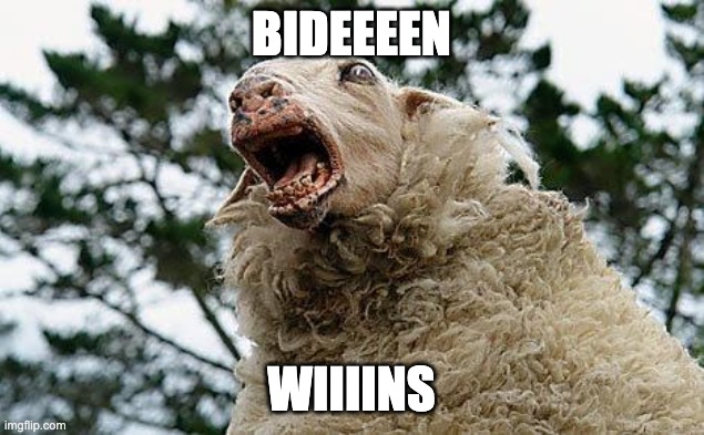 SHEEPY BIDEN | BIDEEEEN; WIIIINS | image tagged in mad sheep,political meme,joe biden | made w/ Imgflip meme maker