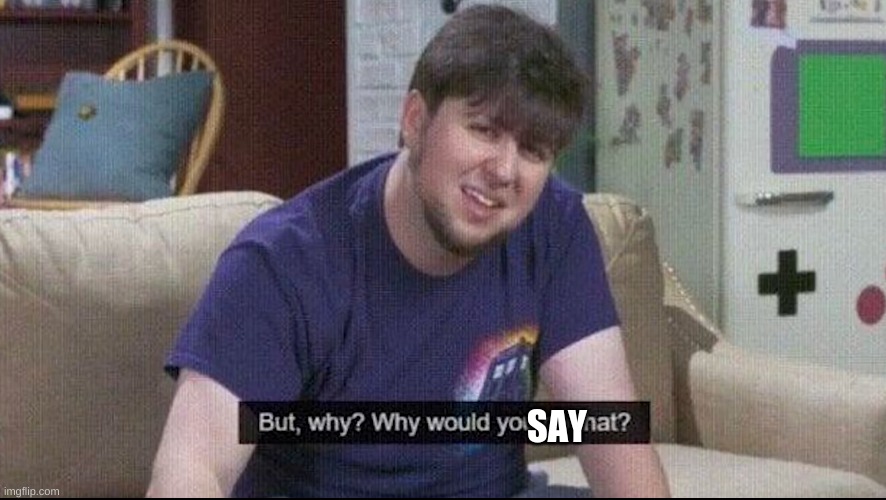 But why why would you do that? | SAY | image tagged in but why why would you do that | made w/ Imgflip meme maker