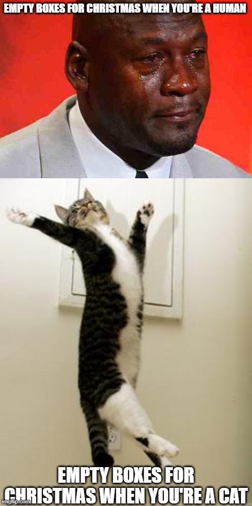 image tagged in cats,happy cat,crying michael jordan | made w/ Imgflip meme maker