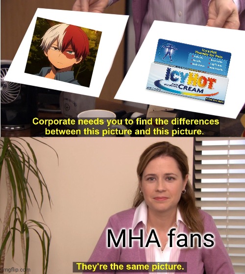 They're The Same Picture | MHA fans | image tagged in memes,they're the same picture,todoroki,icy hot,shoto todoroki,mha | made w/ Imgflip meme maker