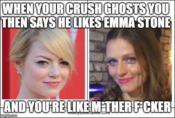 Looks Like You Fit The Bill | WHEN YOUR CRUSH GHOSTS YOU THEN SAYS HE LIKES EMMA STONE; AND YOU'RE LIKE M*THER F*CKER | image tagged in totally looks like | made w/ Imgflip meme maker