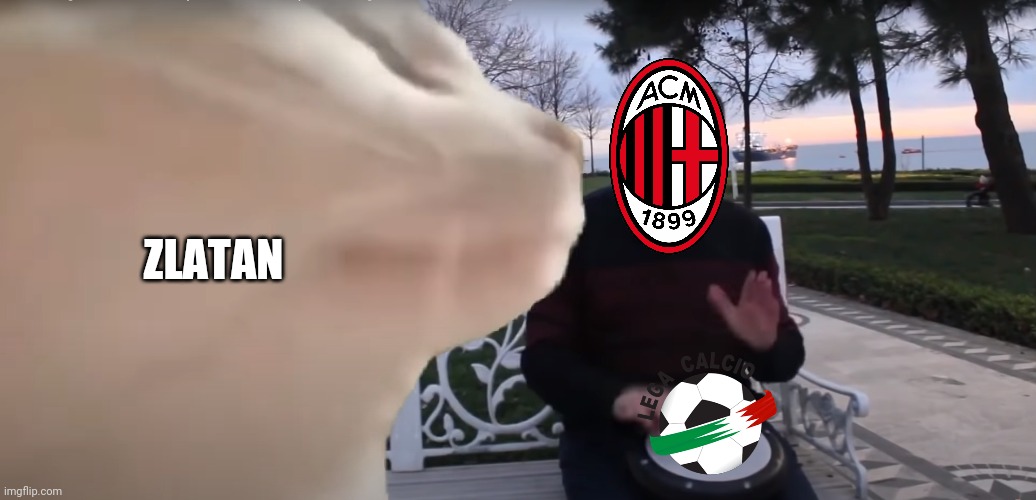 AC Milan this season in Serie A, 2020-2021 | ZLATAN | image tagged in cat vibing to ievan polkka cat meme vibing music,memes,funny,football,soccer,ac milan | made w/ Imgflip meme maker