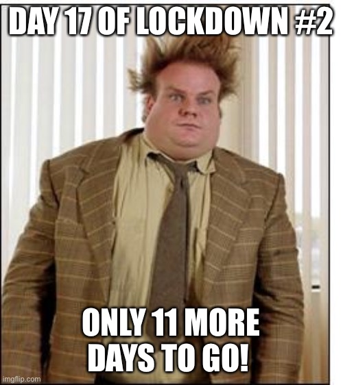 Lockdown countdown | DAY 17 OF LOCKDOWN #2; ONLY 11 MORE DAYS TO GO! | image tagged in chris farley hair | made w/ Imgflip meme maker