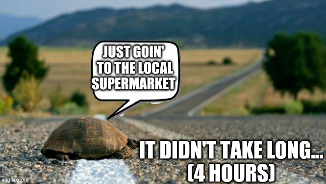 SHOPPING | JUST GOIN'
 TO THE LOCAL
SUPERMARKET; IT DIDN'T TAKE LONG...
(4 HOURS) | image tagged in asdf movie | made w/ Imgflip meme maker