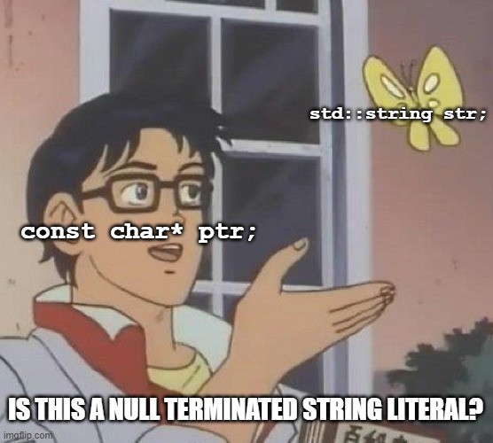 Is This A Pigeon Meme | std::string str;; const char* ptr;; IS THIS A NULL TERMINATED STRING LITERAL? | image tagged in memes,is this a pigeon,ProgrammerHumor | made w/ Imgflip meme maker