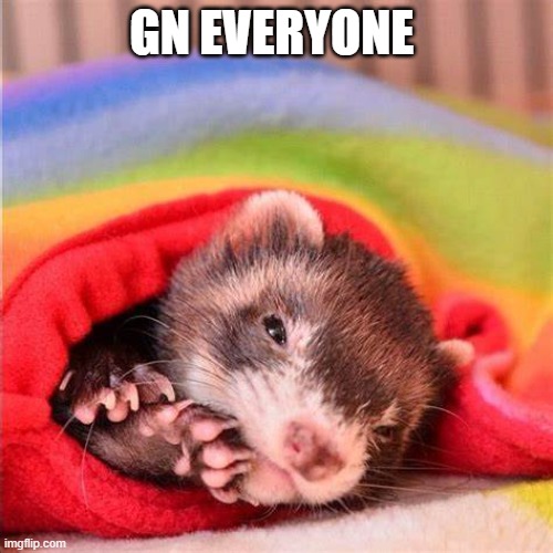 gn | GN EVERYONE | made w/ Imgflip meme maker