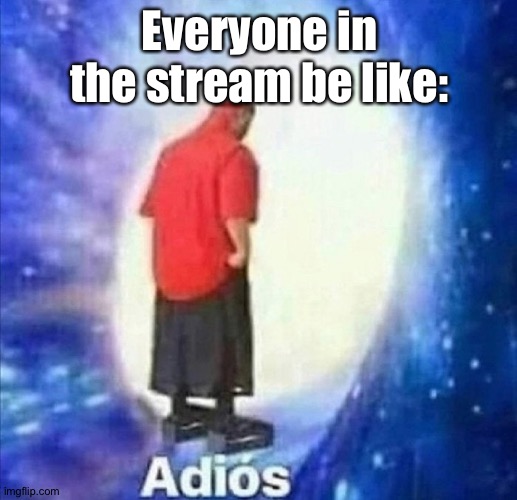 E | Everyone in the stream be like: | image tagged in adios | made w/ Imgflip meme maker