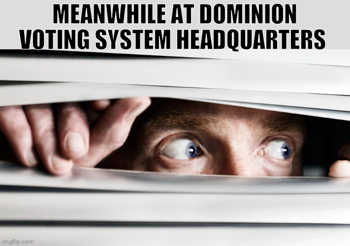 hiding | MEANWHILE AT DOMINION VOTING SYSTEM HEADQUARTERS | image tagged in hiding | made w/ Imgflip meme maker